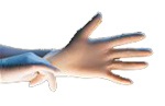 Guidelines for wearing gloves